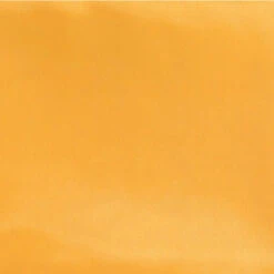 Wyoming Traders Solid Silk Wild Rag Scarf - Yellow